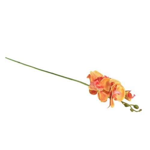 Artikel Kunstig orkidé Phalaenopsis flammet rød gul 78cm