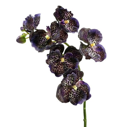 Floristik24 Orchid Vanda kunstig violet L 44cm