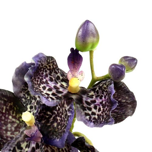 Artikel Orchid Vanda kunstig violet L 44cm