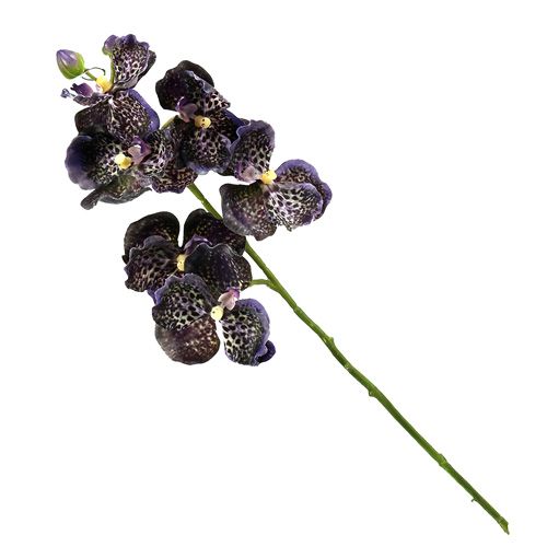Floristik24 Orchid Vanda kunstig violet L 44cm