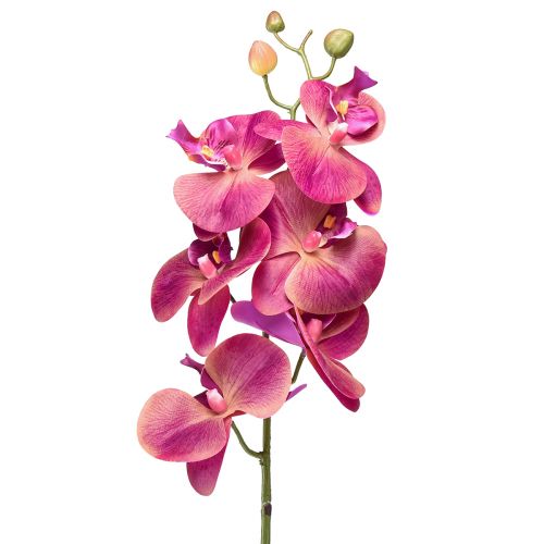 Kunstig orkidé Phalaenopsis Orchid Fuchsia 78cm