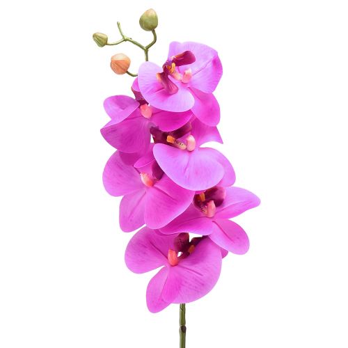 Kunstig orkidé Phalaenopsis Orchid Pink 78cm