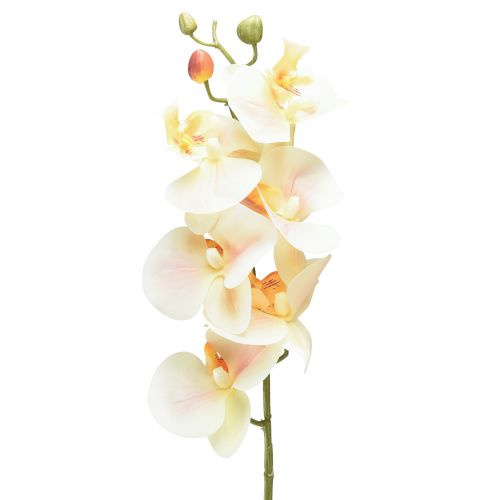 Artikel Kunstig orkidécreme Orange Phalaenopsis 78cm