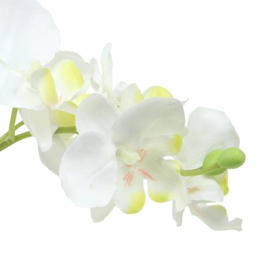Floristik24 Orkideer hvide i en gryde kunstig plante H35cm