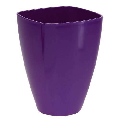 Orkidépotte, blank, Ø12,5 cm, violet købe | Floristik24.dk