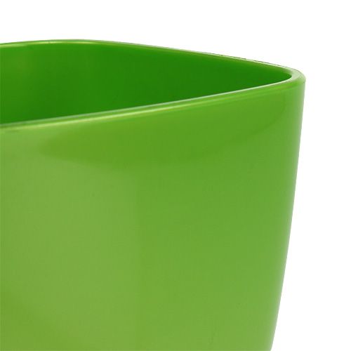 Artikel Orkidépotte skinnende Ø12,5cm lime 1 stk
