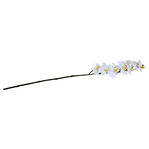 Artikel Orkidégren hvid L58cm