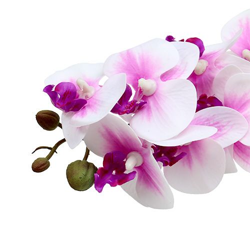 Floristik24 Orkidé gren hvid-pink L58cm