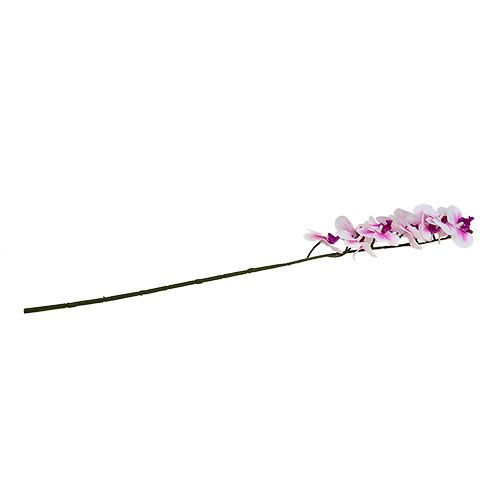 Floristik24 Orkidé gren hvid-pink L58cm