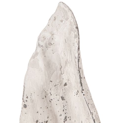 Floristik24 Påskehare Dekoration Kaninører Grå/Hvid Shabby Chic H29cm