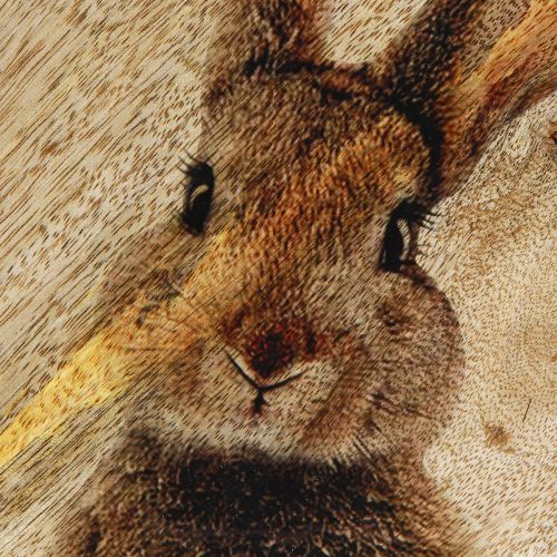 Artikel Påsketallerken Dekorativ træplade Kanin i Æg Natur 25x26cm