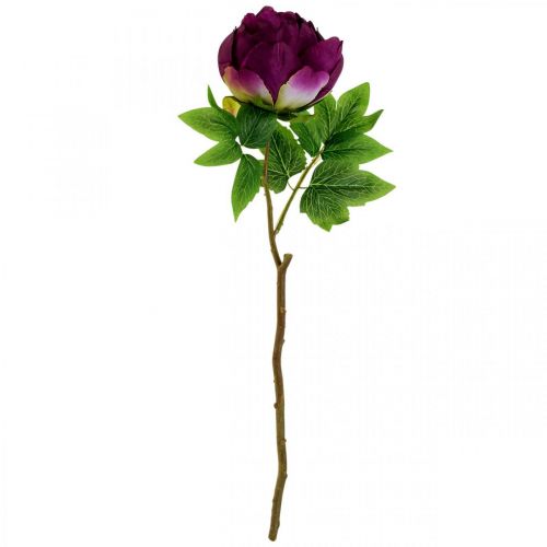 Artikel Paeonia, kunstig pæonblomst Pink Pæon Ø11cm L45cm