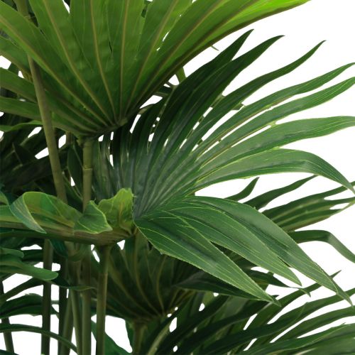 Floristik24 Palm dekorativ vifte palme kunstige planter potte grøn 80cm