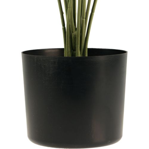 Floristik24 Palm dekorativ vifte palme kunstige planter potte grøn 80cm