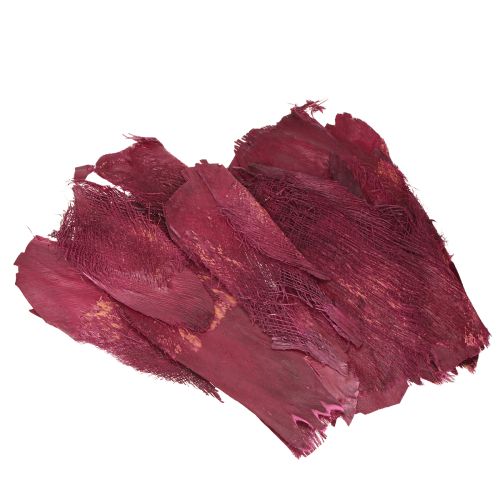 Floristik24 Palmefiber naturlig dekoration naturlig fiber Bær 25-50cm 250g