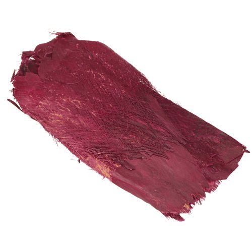 Floristik24 Palmefiber naturlig dekoration naturlig fiber Bær 25-50cm 250g