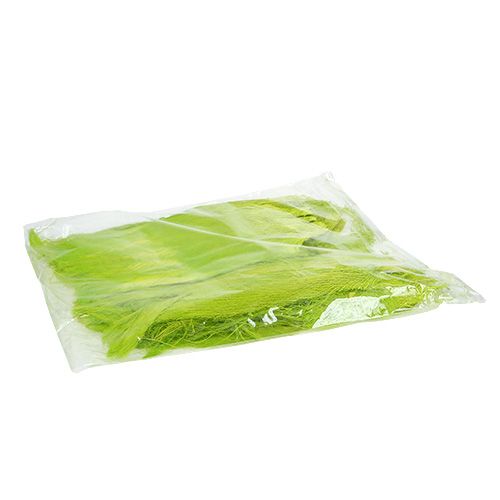 Floristik24 Palme fiber pastel lysegrøn 400gr