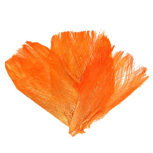 Floristik24 Palme fiber pastel lys orange 400gr