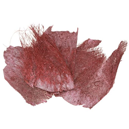 Floristik24 Palmefiber til hobbyarbejde Bordeaux hvidvasket 20-40 cm 250 g
