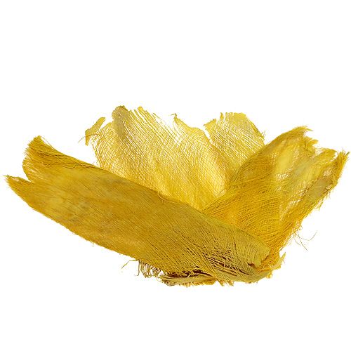 Floristik24 Palme fiber gul 400g