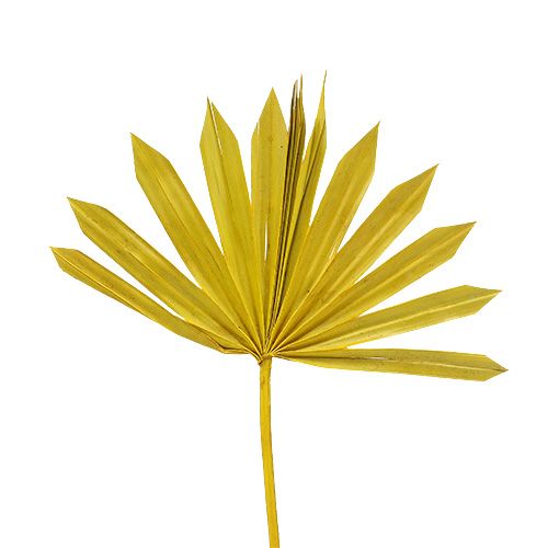 Palmspear Sun mini Gul 50p