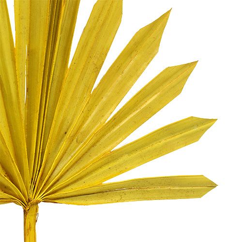 Artikel Palmspear Sun mini gul 50 stk