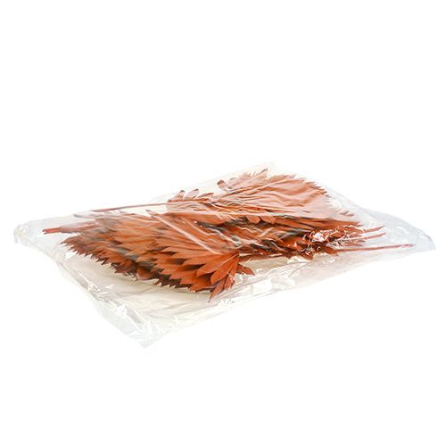 Artikel Palmspear Sun mini Orange 50 stk