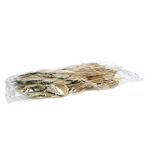 Artikel Palmspear mini natur 100 stk