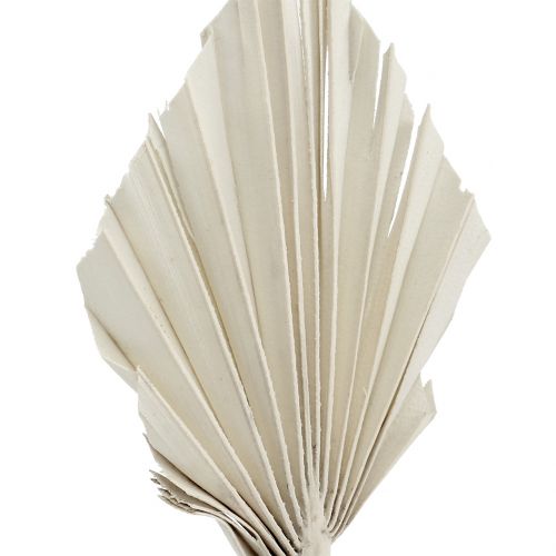 Artikel Palmspear Mini Hvid vasket 100 stk