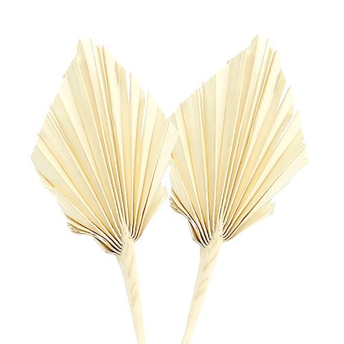 Artikel Palmspear mini bleget palmespyd tørret 50 stk
