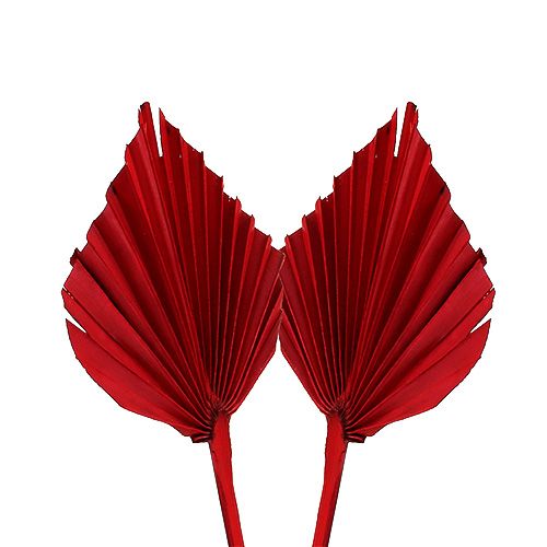 Palmspear mini rød 100 stk