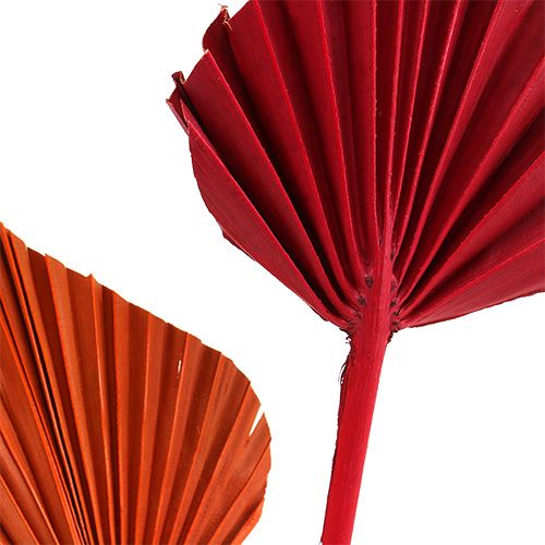 Artikel Palmspear mini sort. Rød/Orange 100 stk