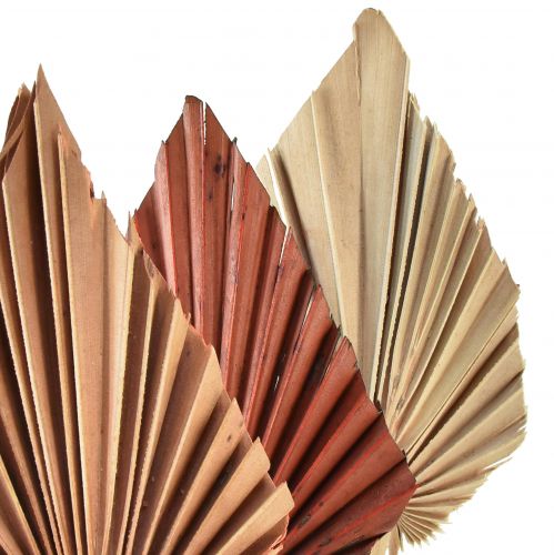 Artikel Palmspear mini assorteret Marokko 30 stk