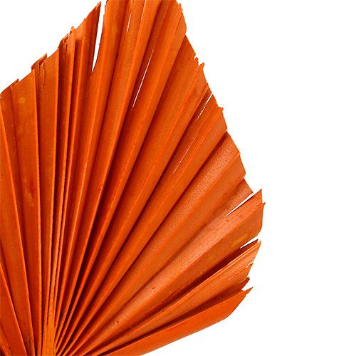 Artikel Palmspyd Orange 65 stk