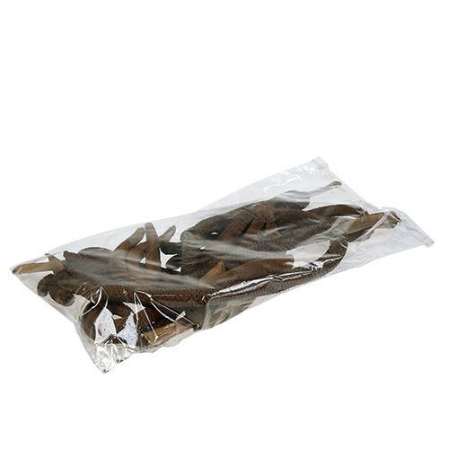 Floristik24 Palmekogler 3-fold naturdekoration 10 stk