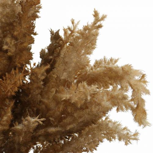 Floristik24 Kunstige pampas græs brun tør dekoration prydgræs 35cm 4stk