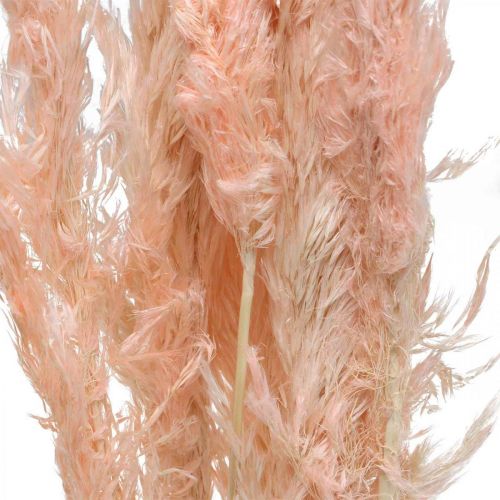Artikel Tørret pampas græs pink tørrede blomster naturlig dekoration 65-75cm 6 stk.
