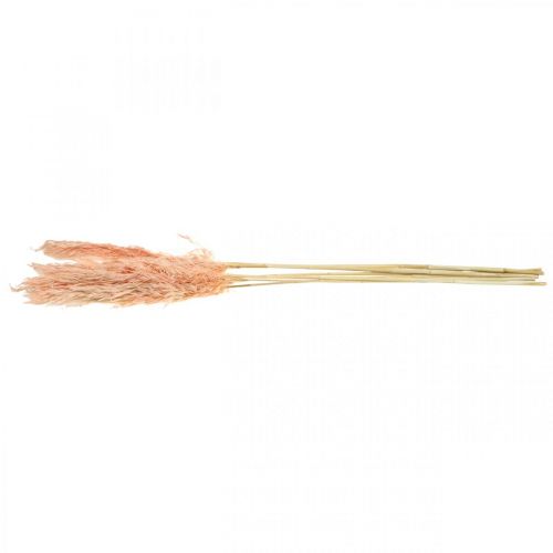 Artikel Tørret pampas græs pink tørrede blomster naturlig dekoration 65-75cm 6 stk.