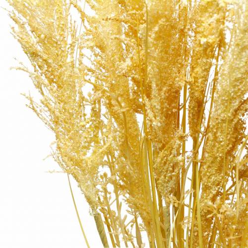 Artikel Pampas græs gul Kunstig prydgræs Tørt blomster 3 stk