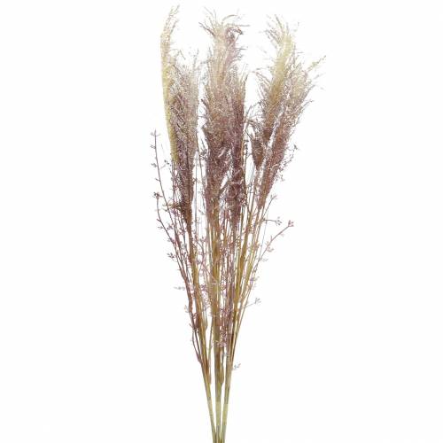 Floristik24 Pampas græs creme, violet Kunstige tørrede blomster 3stk