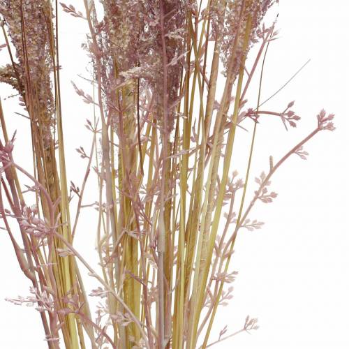 Floristik24 Pampas græs creme, violet Kunstige tørrede blomster 3stk