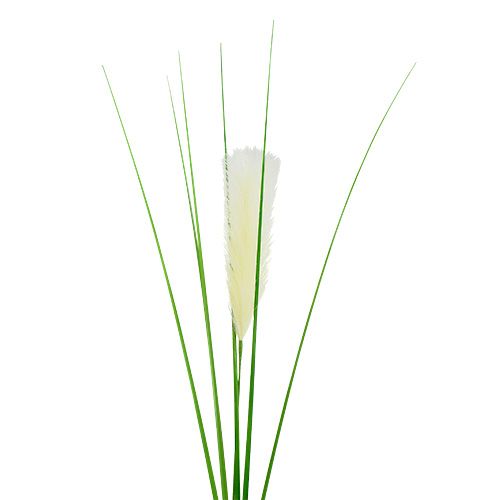 Floristik24 Pampas græs frond creme-grøn H100cm