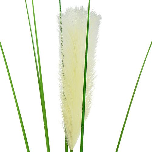 Floristik24 Pampas græs frond creme-grøn H100cm