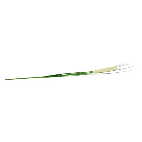 Floristik24 Pampas græs frond creme-grøn H100cm