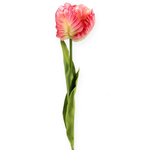 Floristik24 Papegøje tulipan pink 71 cm 3stk