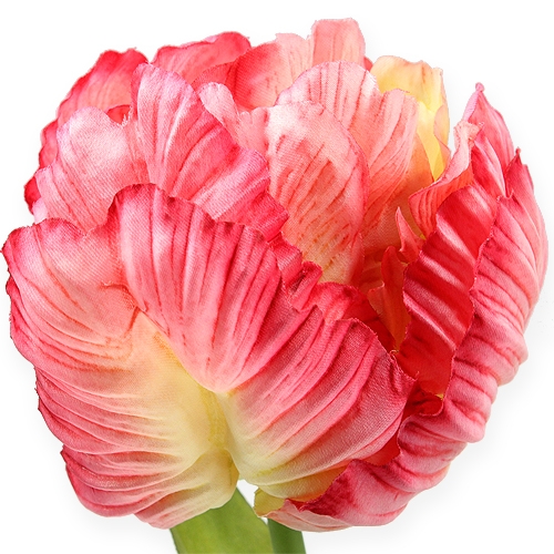 Floristik24 Papegøje tulipan pink 71 cm 3stk