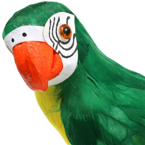 Floristik24 Dekorativ papegøje grøn 44cm