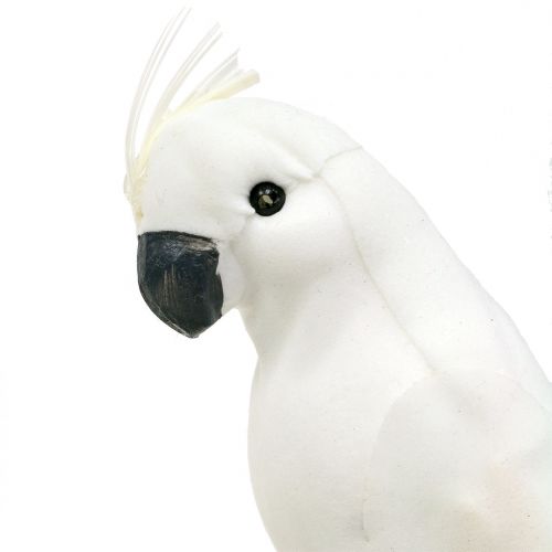 Artikel Papegøjer med fjer hvide Kunstig kakadue dekorativ fugl 4stk