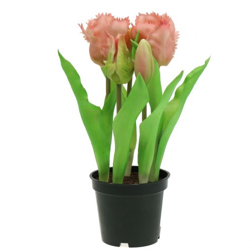 Floristik24 Papegøje tulipan Real-Touch i en gryderosa 23 cm