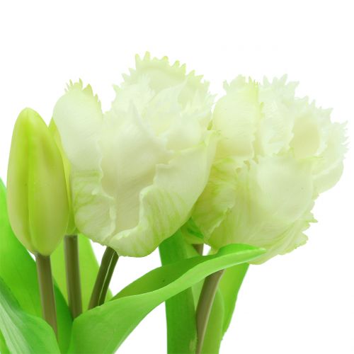 Floristik24 Papegøje tulipan i en gryde Hvid Real-Touch 23cm